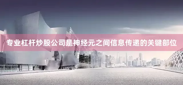专业杠杆炒股公司是神经元之间信息传递的关键部位