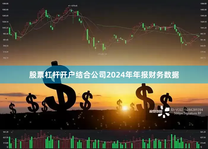 股票杠杆开户结合公司2024年年报财务数据